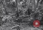Image of US 27th Infantry Division Makin Island Kiribati Islands, 1943, second 39 stock footage video 65675076186