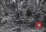 Image of US 27th Infantry Division Makin Island Kiribati Islands, 1943, second 40 stock footage video 65675076186