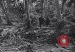 Image of US 27th Infantry Division Makin Island Kiribati Islands, 1943, second 41 stock footage video 65675076186