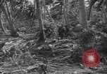 Image of US 27th Infantry Division Makin Island Kiribati Islands, 1943, second 42 stock footage video 65675076186