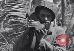 Image of US 27th Infantry Division Makin Island Kiribati Islands, 1943, second 55 stock footage video 65675076186