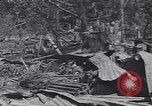 Standbild 27Infanterie Division auf Makin Island Zweiten Weltkrieg Makin Island Inseln Butaritari, 1943, aus Sekunde 1 historischem Filmmaterial Videoclip 65675076188