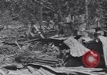 Standbild 27Infanterie Division auf Makin Island Zweiten Weltkrieg Makin Island Inseln Butaritari, 1943, aus Sekunde 3 historischem Filmmaterial Videoclip 65675076188
