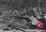 Standbild 27Infanterie Division auf Makin Island Zweiten Weltkrieg Makin Island Inseln Butaritari, 1943, aus Sekunde 6 historischem Filmmaterial Videoclip 65675076188