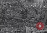 Standbild 27Infanterie Division auf Makin Island Zweiten Weltkrieg Makin Island Inseln Butaritari, 1943, aus Sekunde 13 historischem Filmmaterial Videoclip 65675076188