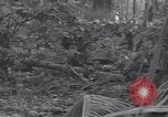 Standbild 27Infanterie Division auf Makin Island Zweiten Weltkrieg Makin Island Inseln Butaritari, 1943, aus Sekunde 15 historischem Filmmaterial Videoclip 65675076188