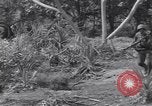 Standbild 27Infanterie Division auf Makin Island Zweiten Weltkrieg Makin Island Inseln Butaritari, 1943, aus Sekunde 27 historischem Filmmaterial Videoclip 65675076188