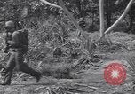 Standbild 27Infanterie Division auf Makin Island Zweiten Weltkrieg Makin Island Inseln Butaritari, 1943, aus Sekunde 29 historischem Filmmaterial Videoclip 65675076188