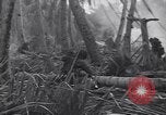 Standbild 27Infanterie Division auf Makin Island Zweiten Weltkrieg Makin Island Inseln Butaritari, 1943, aus Sekunde 31 historischem Filmmaterial Videoclip 65675076188