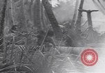 Standbild 27Infanterie Division auf Makin Island Zweiten Weltkrieg Makin Island Inseln Butaritari, 1943, aus Sekunde 34 historischem Filmmaterial Videoclip 65675076188