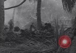 Standbild 27Infanterie Division auf Makin Island Zweiten Weltkrieg Makin Island Inseln Butaritari, 1943, aus Sekunde 38 historischem Filmmaterial Videoclip 65675076188