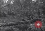 Standbild 27Infanterie Division auf Makin Island Zweiten Weltkrieg Makin Island Inseln Butaritari, 1943, aus Sekunde 44 historischem Filmmaterial Videoclip 65675076188
