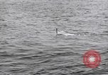 Standbild submarine Periskop United States USA, 1948, aus Sekunde 6 historischem Filmmaterial Videoclip 65675076222