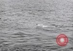 Standbild submarine Periskop United States USA, 1948, aus Sekunde 7 historischem Filmmaterial Videoclip 65675076222