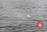 Standbild submarine Periskop United States USA, 1948, aus Sekunde 8 historischem Filmmaterial Videoclip 65675076222