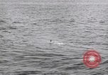 Standbild submarine Periskop United States USA, 1948, aus Sekunde 13 historischem Filmmaterial Videoclip 65675076222