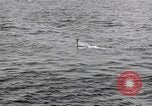 Standbild submarine Periskop United States USA, 1948, aus Sekunde 26 historischem Filmmaterial Videoclip 65675076222