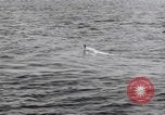 Standbild submarine Periskop United States USA, 1948, aus Sekunde 36 historischem Filmmaterial Videoclip 65675076222