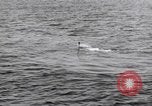 Standbild submarine Periskop United States USA, 1948, aus Sekunde 37 historischem Filmmaterial Videoclip 65675076222