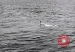 Standbild submarine Periskop United States USA, 1948, aus Sekunde 45 historischem Filmmaterial Videoclip 65675076222