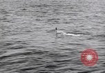 Standbild submarine Periskop United States USA, 1948, aus Sekunde 50 historischem Filmmaterial Videoclip 65675076222