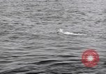 Standbild submarine Periskop United States USA, 1948, aus Sekunde 55 historischem Filmmaterial Videoclip 65675076222