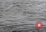 Standbild submarine Periskop United States USA, 1948, aus Sekunde 58 historischem Filmmaterial Videoclip 65675076222