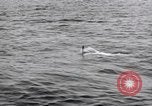 Standbild submarine Periskop United States USA, 1948, aus Sekunde 62 historischem Filmmaterial Videoclip 65675076222