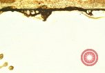 Image of Japanese submarine I-203 sunk Pacific Ocean, 1946, second 1 stock footage video 65675076233
