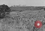 Image États-Unis des chars de l'armée United States USA, 1944, de la seconde 3 séquences d'archives historiques vidéo 65675076243