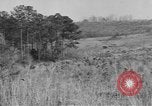 Image États-Unis des chars de l'armée United States USA, 1944, de la seconde 8 séquences d'archives historiques vidéo 65675076243