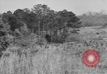 Image États-Unis des chars de l'armée United States USA, 1944, de la seconde 9 séquences d'archives historiques vidéo 65675076243