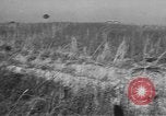 Image États-Unis des chars de l'armée United States USA, 1944, de la seconde 14 séquences d'archives historiques vidéo 65675076243