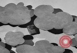 Image États-Unis des chars de l'armée United States USA, 1944, de la seconde 39 séquences d'archives historiques vidéo 65675076243