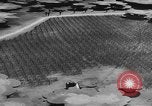 Image États-Unis des chars de l'armée United States USA, 1944, de la seconde 50 séquences d'archives historiques vidéo 65675076246