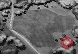 Image États-Unis des chars de l'armée United States USA, 1944, de la seconde 56 séquences d'archives historiques vidéo 65675076246