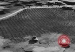 Image États-Unis des chars de l'armée United States USA, 1944, de la seconde 57 séquences d'archives historiques vidéo 65675076246