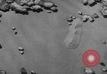 Image of United States army tanks United States USA, 1944, second 5 stock footage video 65675076247