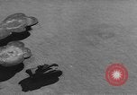 Image of United States army tanks United States USA, 1944, second 7 stock footage video 65675076247