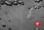 Image of United States army tanks United States USA, 1944, second 12 stock footage video 65675076247