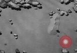 Image of United States army tanks United States USA, 1944, second 19 stock footage video 65675076247