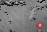 Image of United States army tanks United States USA, 1944, second 26 stock footage video 65675076247