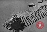 Image of United States army tanks United States USA, 1944, second 31 stock footage video 65675076247
