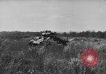 Image États-Unis des chars de l'armée United States USA, 1944, de la seconde 7 séquences d'archives historiques vidéo 65675076248