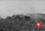 Image États-Unis des chars de l'armée United States USA, 1944, de la seconde 10 séquences d'archives historiques vidéo 65675076248