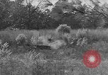 Image États-Unis des chars de l'armée United States USA, 1944, de la seconde 39 séquences d'archives historiques vidéo 65675076248