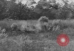 Image États-Unis des chars de l'armée United States USA, 1944, de la seconde 40 séquences d'archives historiques vidéo 65675076248