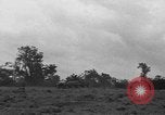 Image soldats des États-Unis France, 1944, de la seconde 21 séquences d'archives historiques vidéo 65675076249