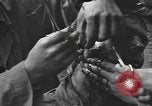 Image of American medics Normandy France, 1944, second 42 stock footage video 65675076254
