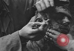 Image of American medics Normandy France, 1944, second 43 stock footage video 65675076254